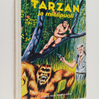 Edgar Rice Burroughs : Tarzan ja mielipuoli - pikkukuva 1