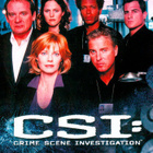 CSI (Las Vegas) - 1. Tuotantokausi (6 disc) DVD Boxi - pikkukuva 1