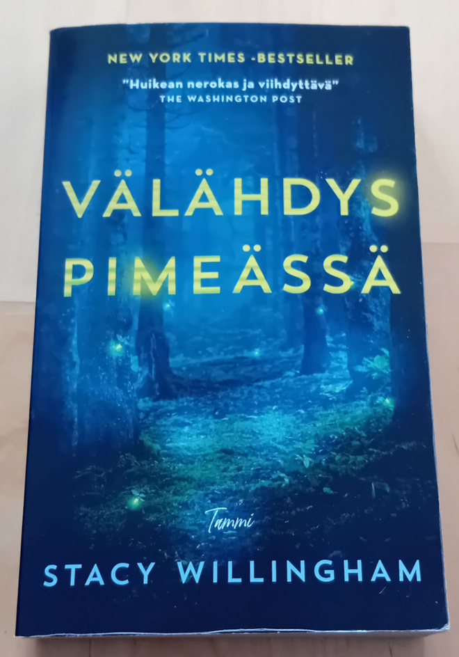 Stacy Willingham - Välähdys pimeässä