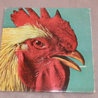 Ambergris - Ambergris LP 1970 rock jazz fuusio - pikkukuva 4