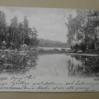 Padasjoki, Alijärvi, vanha mv pk, p. 1903 - pikkukuva 1