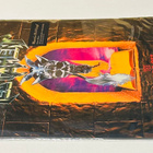TESTAMENT : The Legazy - LP, uusi - pikkukuva 3