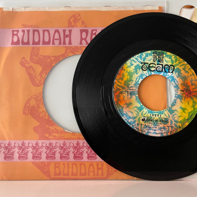 SHADOWS OF KNIGHT: Shake * From Way Out….* USA 1968