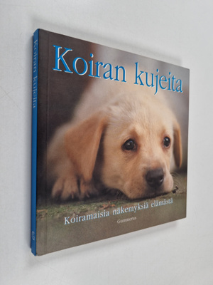 Koiran kujeita : koiramaisia näkemyksiä elämästä