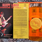Sleepy LaBeef LP - pikkukuva 2