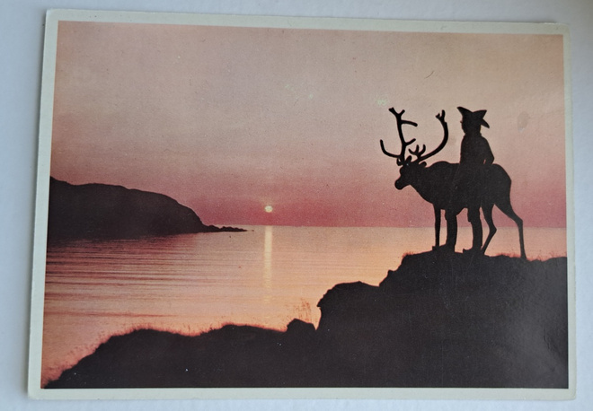 Lappi, kesäyön aurinko, poro Norjan Lapissa, kulkematon