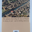 Salvatore Nappo : Pompeii - Guide to the Lost City - pikkukuva 2