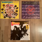 Ramones Vinyylilevykokoelma, 28 x LP’s - pikkukuva 4