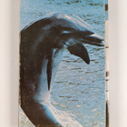 Richard Hardwick : Flipper : Mustan kuunarin arvoitus : K... - pikkukuva 2