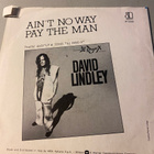DAVID LINDLEY: Ain´t No Way * Pay The Man * ITA 1981 - pikkukuva 2