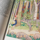 Grimmin kauneimmat sadut & Tuhannen ja yhden yön satuja - pikkukuva 3