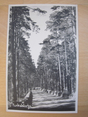 VANHA Postikortti Punkaharju 1920-luku