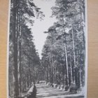 VANHA Postikortti Punkaharju 1920-luku - pikkukuva 1