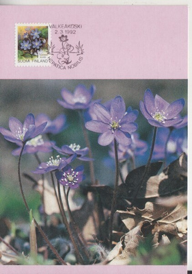 Maksimikortti numero 15 1992