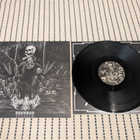 Wurzelkraft - Urgrund - pikkukuva 1