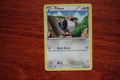 Pidove 84/114, Black & White (2011), common