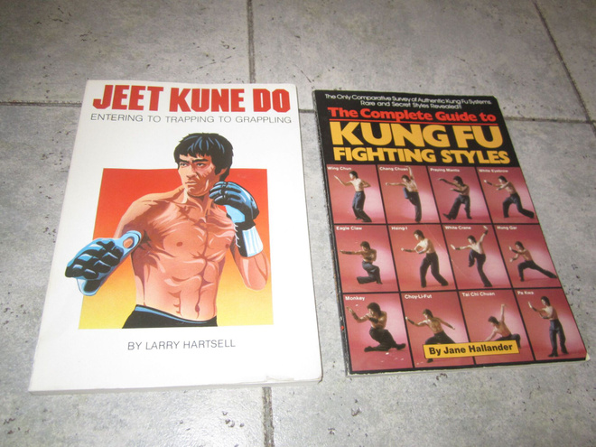 kung fu fighting styles & jeet kune do ( UK )