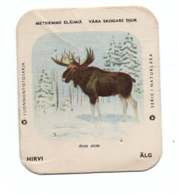 Kahvilappu Hirvi. Isompi kuvakoko