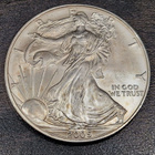 1 oz 999 Hopea raha American Silver Eagle 2005 one dollar - pikkukuva 1