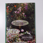 Uusi safiiri 1/99 - pikkukuva 2