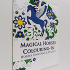 Phillips Simone : Magical Horses Colouring-In : Horses, u... - pikkukuva 1