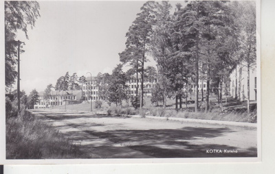 Kotka koteko 1954 kortti.