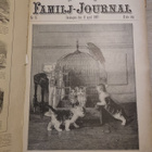 Isokokoinen 1897 Allers Familj-Journal vuosikertasidos - pikkukuva 5