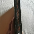 McNeill, Graham: Warhammer 40,000: Horus Heresy: False Gods - pikkukuva 3
