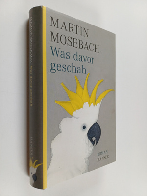 Martin Mosebach : Was davor geschah : Roman