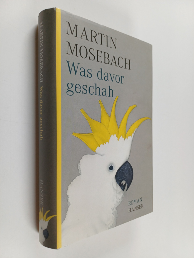 Martin Mosebach : Was davor geschah : Roman