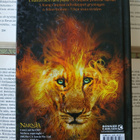 C.S. Lewis - Berättelsen om Narnia 3: Hästen och hans pojke - pikkukuva 2
