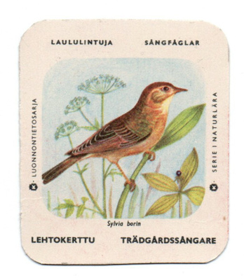 Kahvilappu LEHTOKERTTU. Isompi kuvakoko