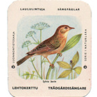 Kahvilappu LEHTOKERTTU. Isompi kuvakoko - pikkukuva 1