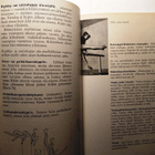Eritasonojapuuvoimistelu  Linnanlahti Olavi - pikkukuva 5