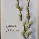 Pajunkissoja, kultausta, k. k-k - pikkukuva 1