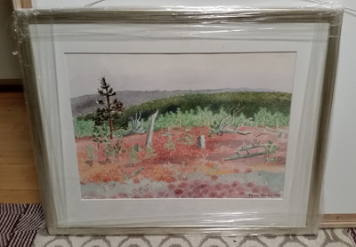 Inari Krohn "Lapin valoa"