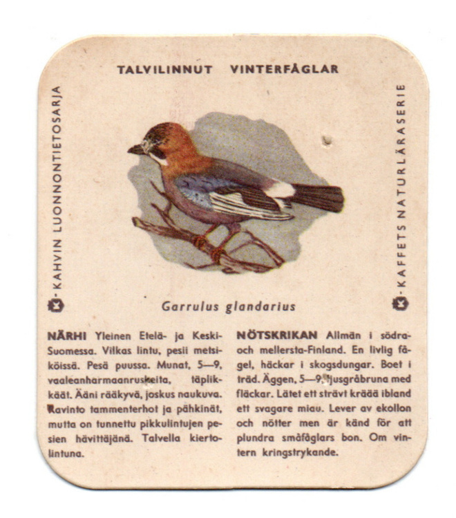 Kahvilappu Närhi