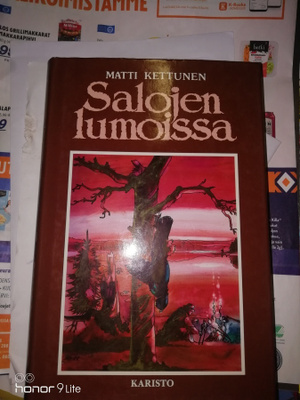 Matti Kettunen Salojen lumoissa