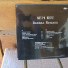 sepi kuu lp: rannan usvassa 1980, RE shadocks julkaisu. - pikkukuva 2