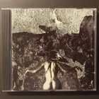 Rainroom - Monochrome of Feathers CD (2007) - pikkukuva 1