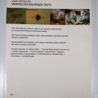John Hedgecoe : Värivalokuvauksen taito - pikkukuva 2