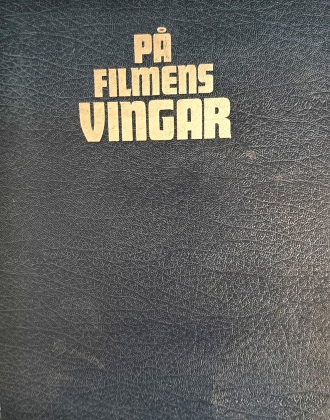 Bertil Skogsbeg: På Filmens Vingar