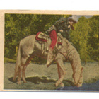 Purkkakuva S. n:o 15  ROY ROGERS - pikkukuva 1
