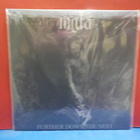 MGLA - MDLOSCI / FURTHER DOWN THE NEST M-/M- POLAND 2018 LP - pikkukuva 2