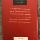 Petra Hammesfahr: Uskoton mies - pikkukuva 2