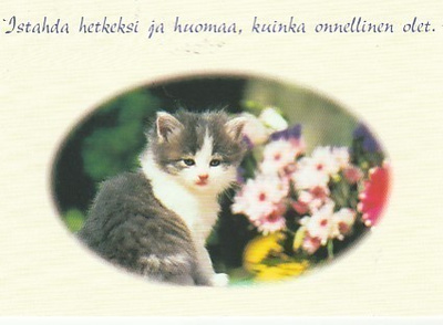 Postikortti, Eläinaihe, eläimet , kissa