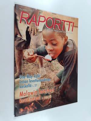 Raportti 4/2013