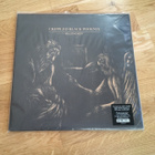 Crippled Black Phoenix – Ellengæst 2LP (Transparent Yellow) - pikkukuva 1