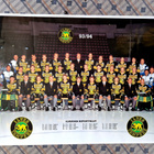 Ilves Jääkiekkojoukkueen juliste 1993-1994. 61×44cm - pikkukuva 2