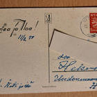 kukkakortti, kukkia maljakossa, kulkenut 1950 - pikkukuva 2